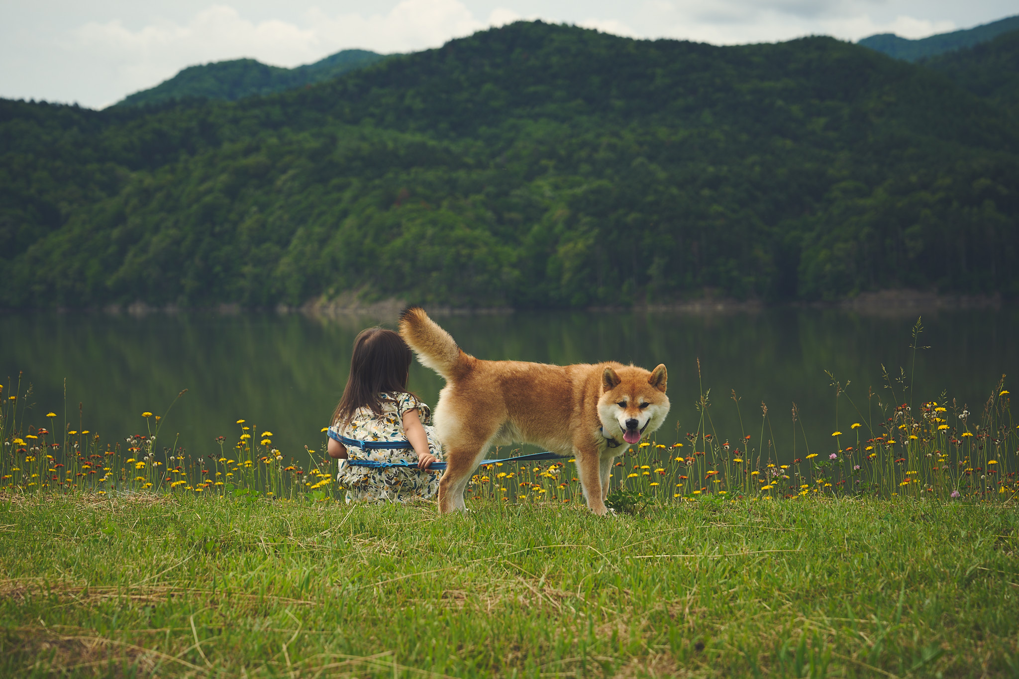 北海道車中泊旅 Day12