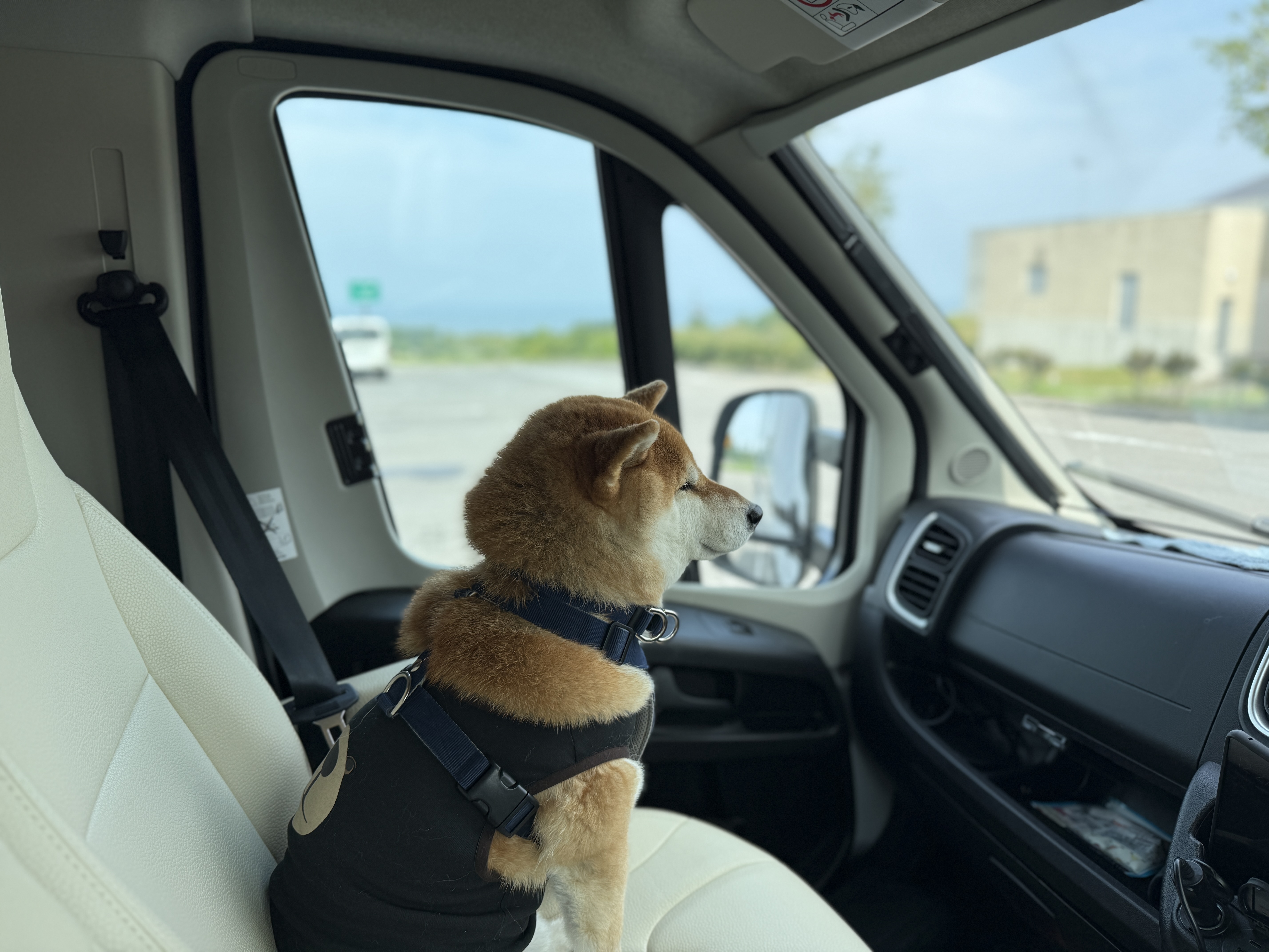 移動中の車内の様子